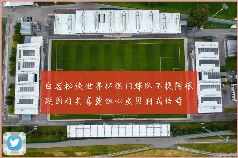 白岩松谈世界杯热门球队不提阿根廷因对其喜爱担心成贝利式传奇