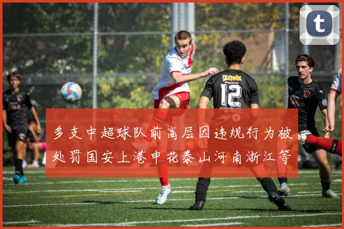 多支中超球队前高层因违规行为被处罚国安上港申花泰山河南浙江等队受影响