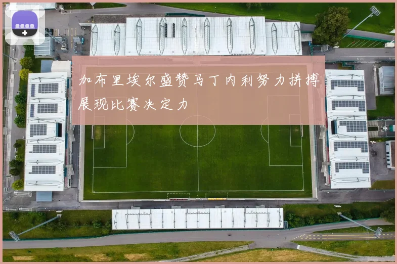 加布里埃尔盛赞马丁内利努力拼搏展现比赛决定力